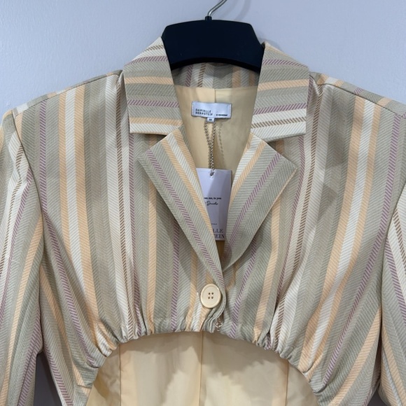NWT We Wore What Danielle Bernstein striped blazer dress - Picture 3 of 7